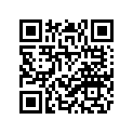 51D-W2411-02-P4 