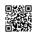 51R-28381-00-00 