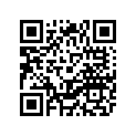 51Y-26335-01-00 