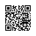 520000389 Sac            *bag Gsx Ltd / Gsx Ltd 1+