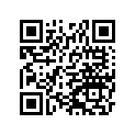 520051138 