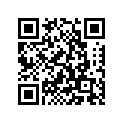 521-17141-00-00 