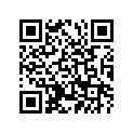 521-17261-00-00 