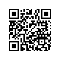 5211829-067 SUPPORT-FTPGES,PASS,RH,BLK.