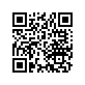 52155-307-000 Slider.chain