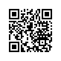 52170-381-000 Sliper,chain