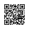 52180-MFN-D00 GUIDE, CHAIN