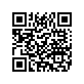 5219677 BRACKETLEFTPERBD