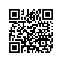 5221000 PASSENGERPILLION,FLSTF