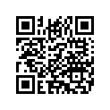 52300404 SUPPORTSTRUCT,BKRST,RIDE