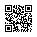 5231707 KITFOOTPEG,FXSTSSE