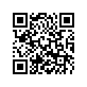 52331029100 SLIDE STOP L=33             11