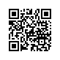 5237300PP NLA - 12-5237300PP - BRAVO I X 1.65:1