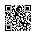52400-041-010-B S/abs, rr. *nh1*
