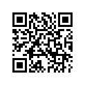 52400004 GRABSTRAP,FLSTSE3