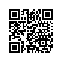 52400035 GRABSTRAP