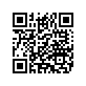 52400116 GRABSTRAP,PSNGR