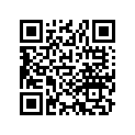 52411-381-771 Guide, Rod