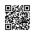 52416-381-771 Guide, seal