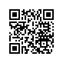 5243611 Support