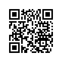 5244547 Rave B. P. -decal L.h.