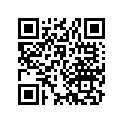 52489-033-000 Rubber, rr