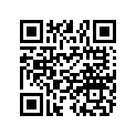 5249071 FLANGETTE