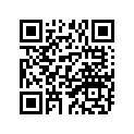 525-17161-00-00 
