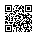 525-17221-00-00 