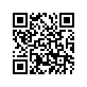 525-17261-00-00 