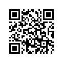 525-17411-00-00 