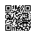 5251095A TWOUPSEAT,FXSTSB