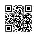 52517-MN8-671 Rubber, Stopper