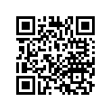 52554-MG9-950 Rubber (upper)