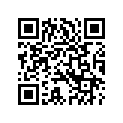 5283501 SUPPORT,PASSENGERFOOTPE