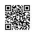 53001-1848-MF シ-トアツシ，グリ-ン