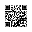 53001-3733-K8 シ-トアツシ，FR，グレ-