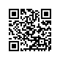 53001-3734-PP シ-トアツシ，RR，グレ-
