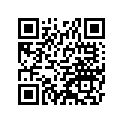 530011289 