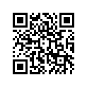 530011535PV 
