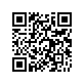 530011577MD 