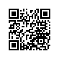 53003-0353-13E レザ-,シート,ブラツク/ブラツク+ブラツ
