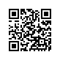 53003-1148 レザ-，フロント シ-ト