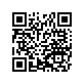 53003-1204-NX レザ-，リヤ シ-ト，ホワイト