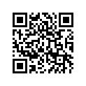 53003033341C 