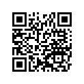 530031131MA 