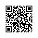 530031167NZ 