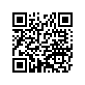 530031336MA 