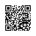 530040580 Mat, Rr, Lh