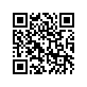 530043742RA Mat, Floor, Rr, Gray